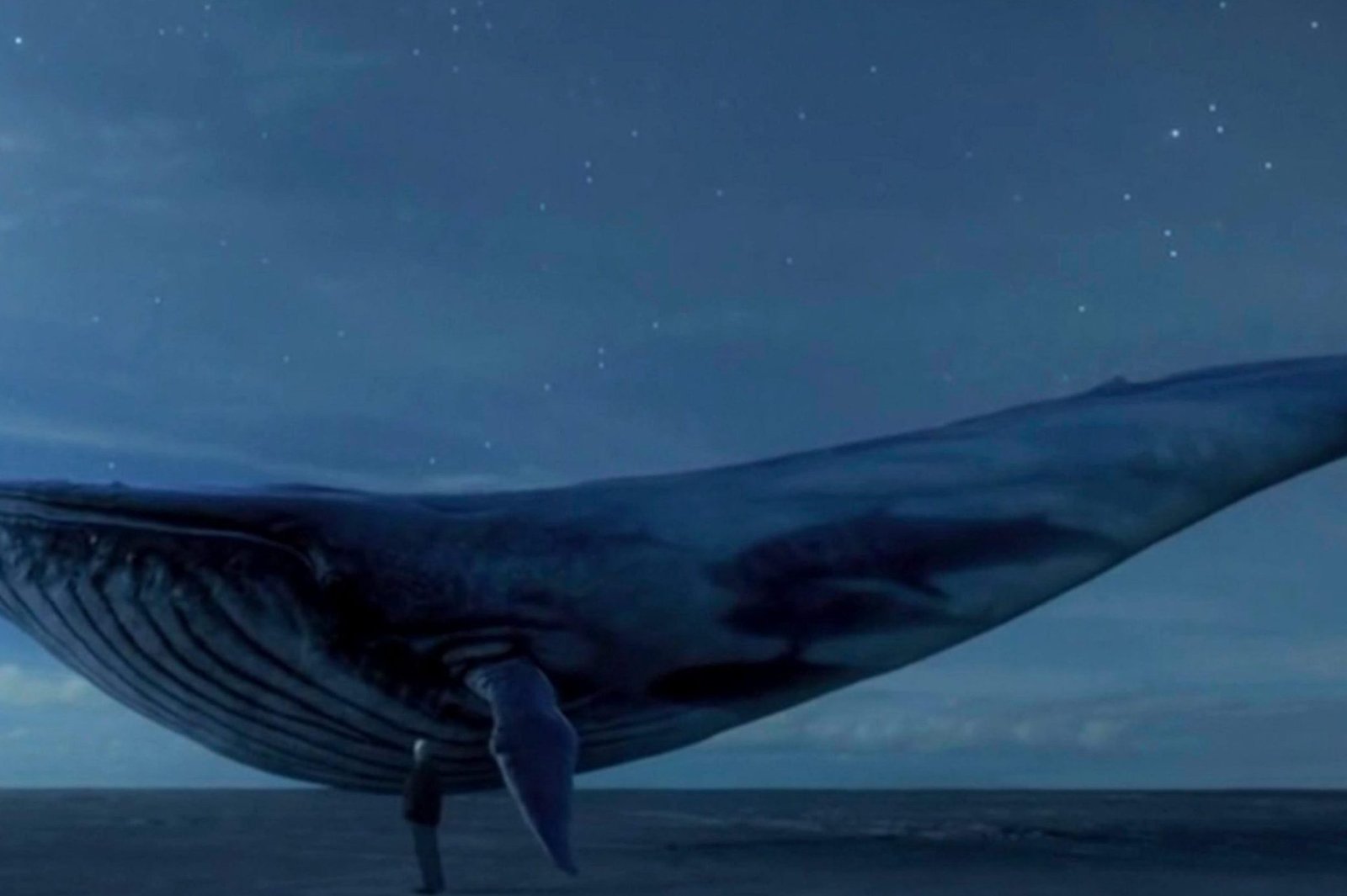 'Blue Whale'