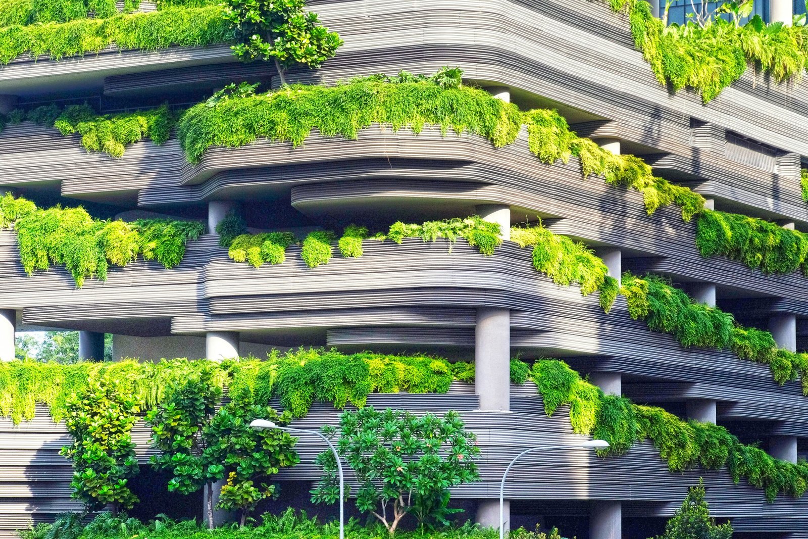 Green Cities of the Future: Environmental Innovation in Urban Design