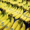 Chiquita AUC Financing