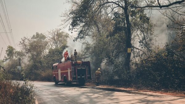 California wildfire management